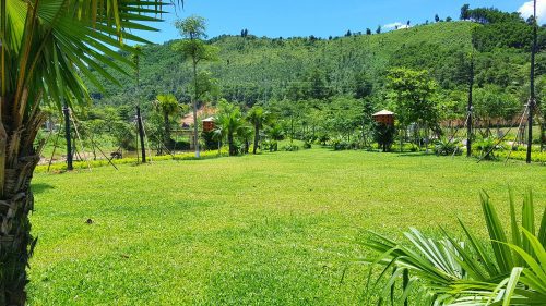 pink-house-hoa-lac-ha-noi