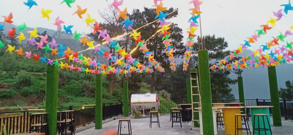 villa-thi-tran-tam-dao-8