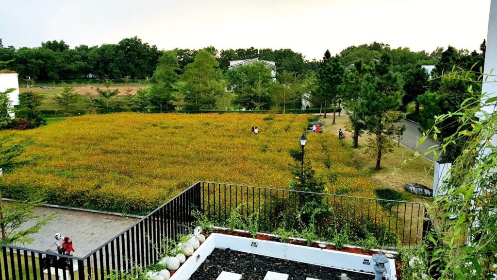 villa-4-phong-ngu-17