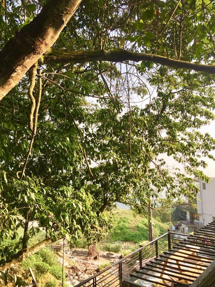 homestay-thi-tran-tam-dao-15