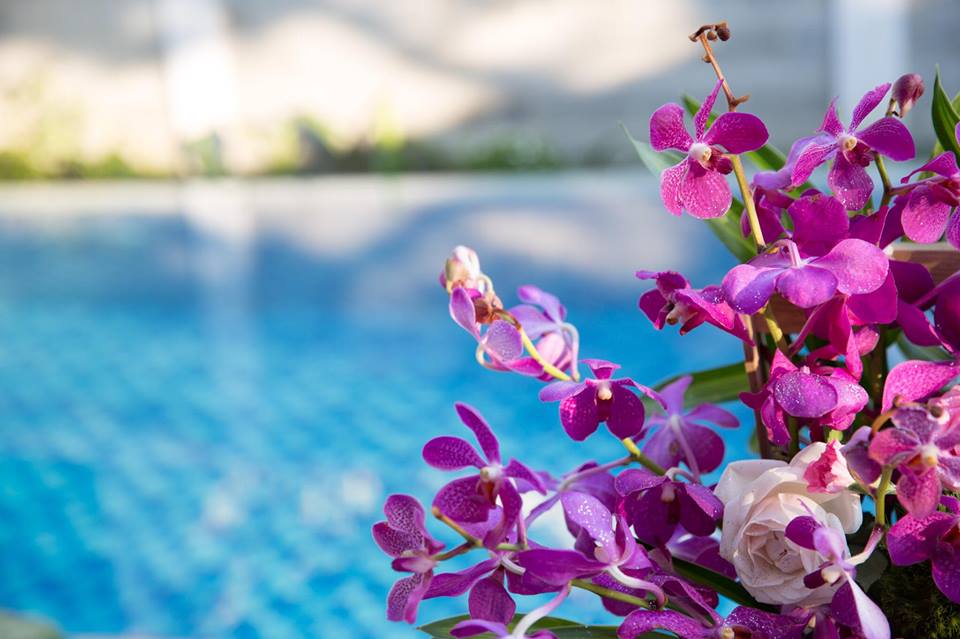 pool-villa-binh-an-hoi-an