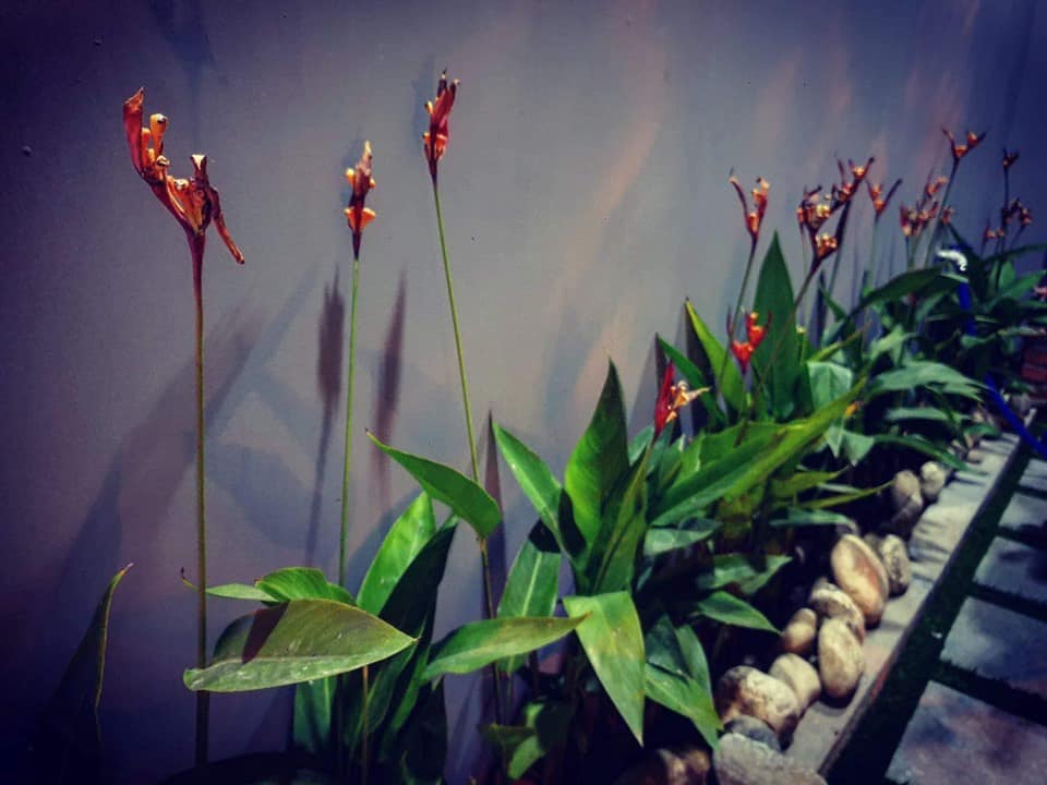 Mountain-View-Villa-da-nang