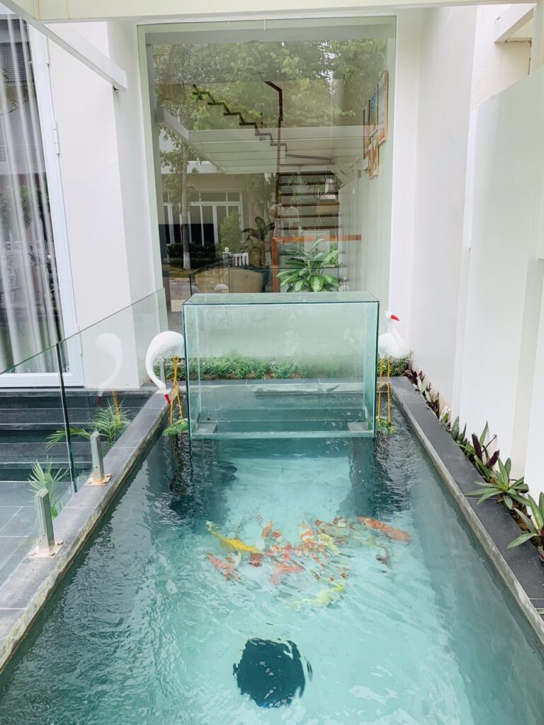 mai-villa-9-thach-that-ha-noi