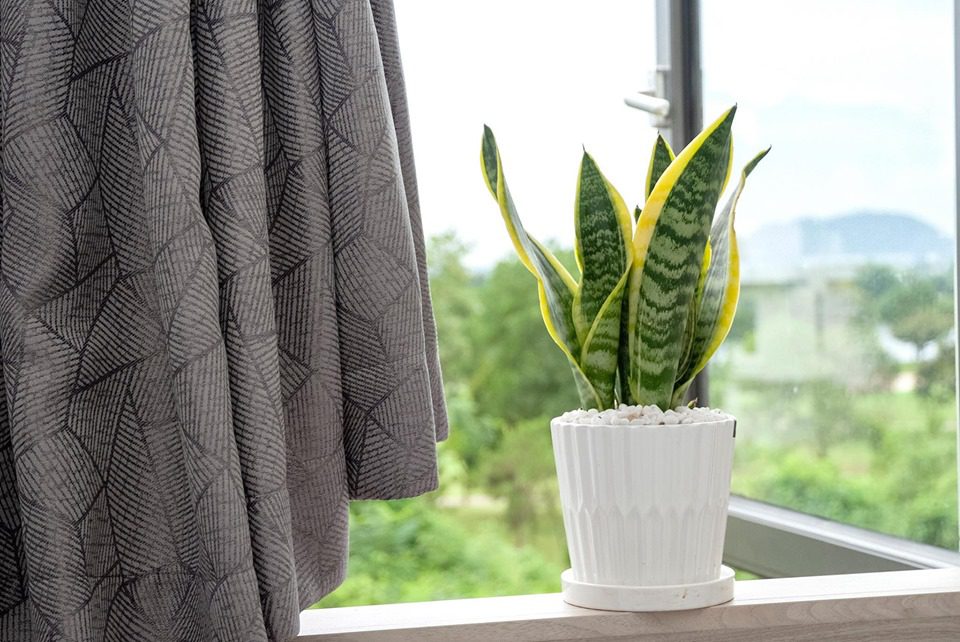 biet-thu-san-golf-tam-dao-15