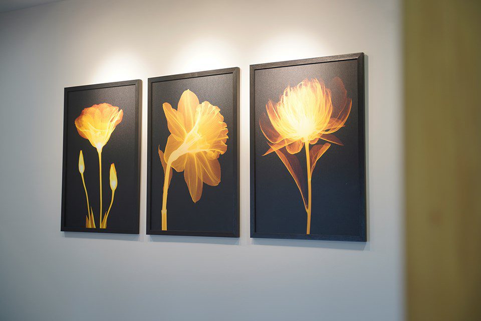 villa-cho-thue-5-phong-ngu