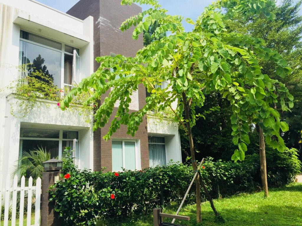 villa-4-phong-ngu-13