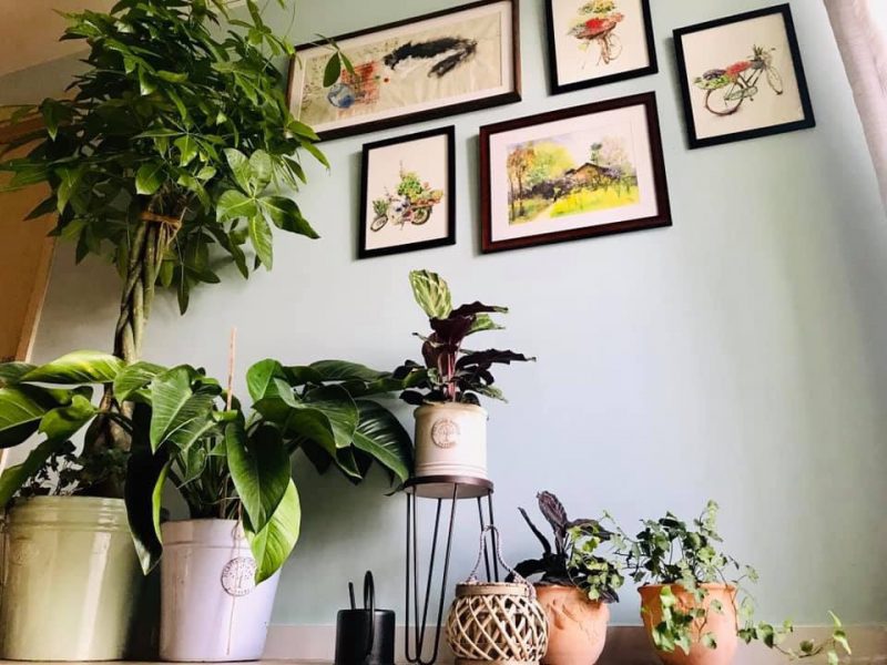 cho-thue-xanh-homestay-ecopark