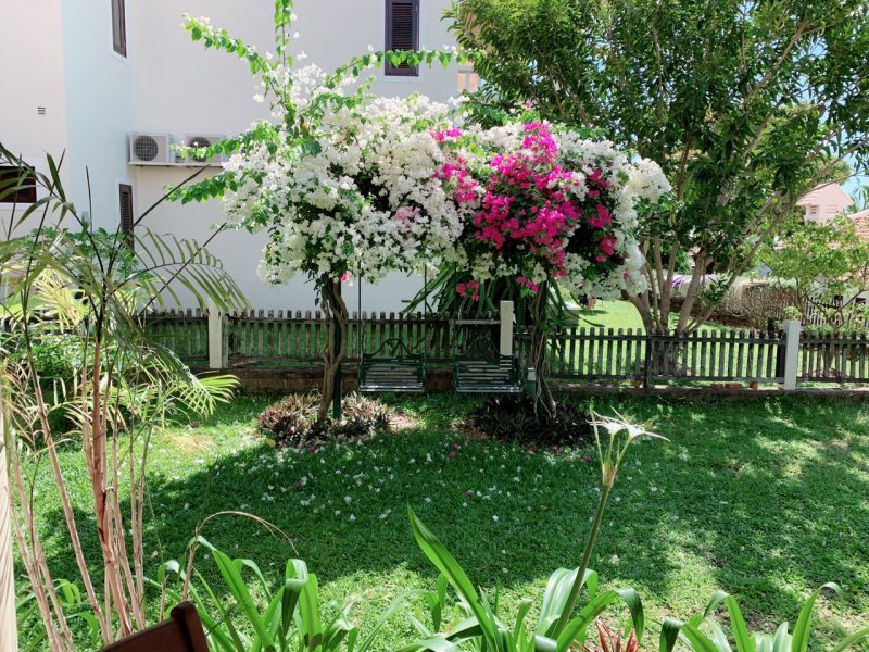 nghi_duong_phan_thiet_domaine