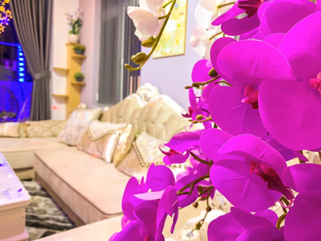 villa-thien-an-da=lat