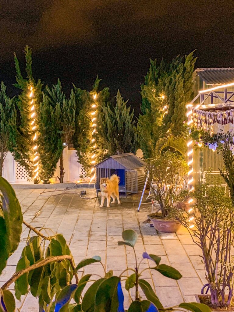 villa-thien-an-da=lat