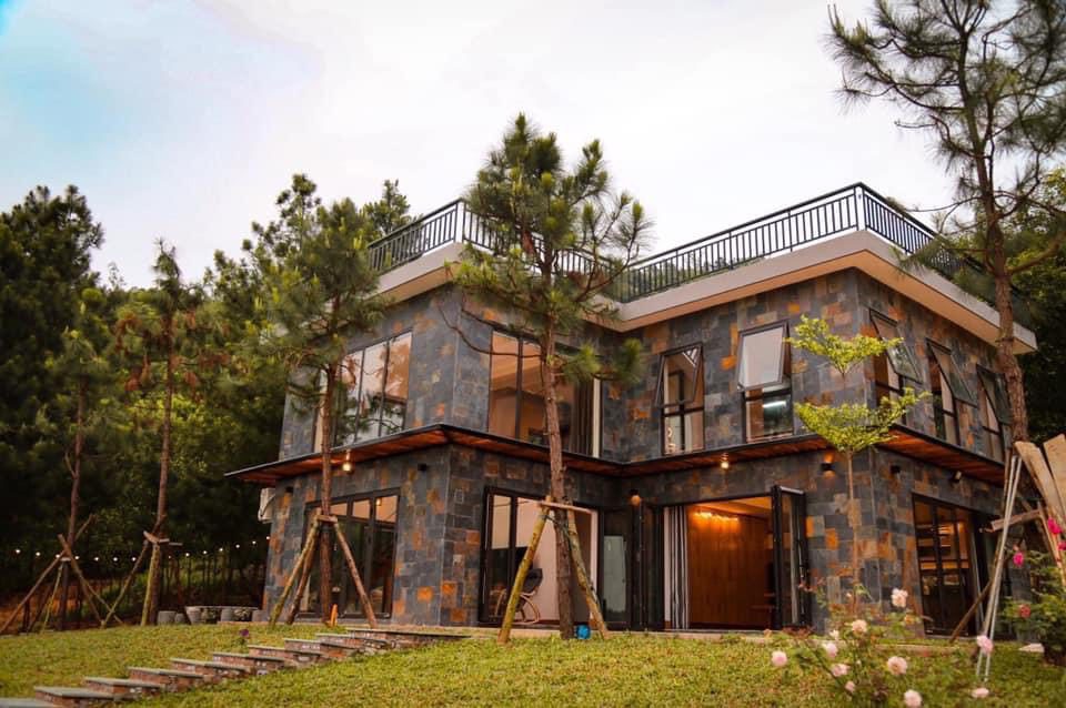 forest-garden-rung-thong-xanh