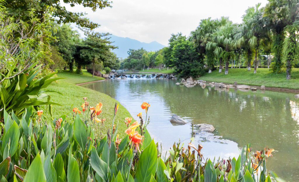 joy-villa-xanh-villas-1