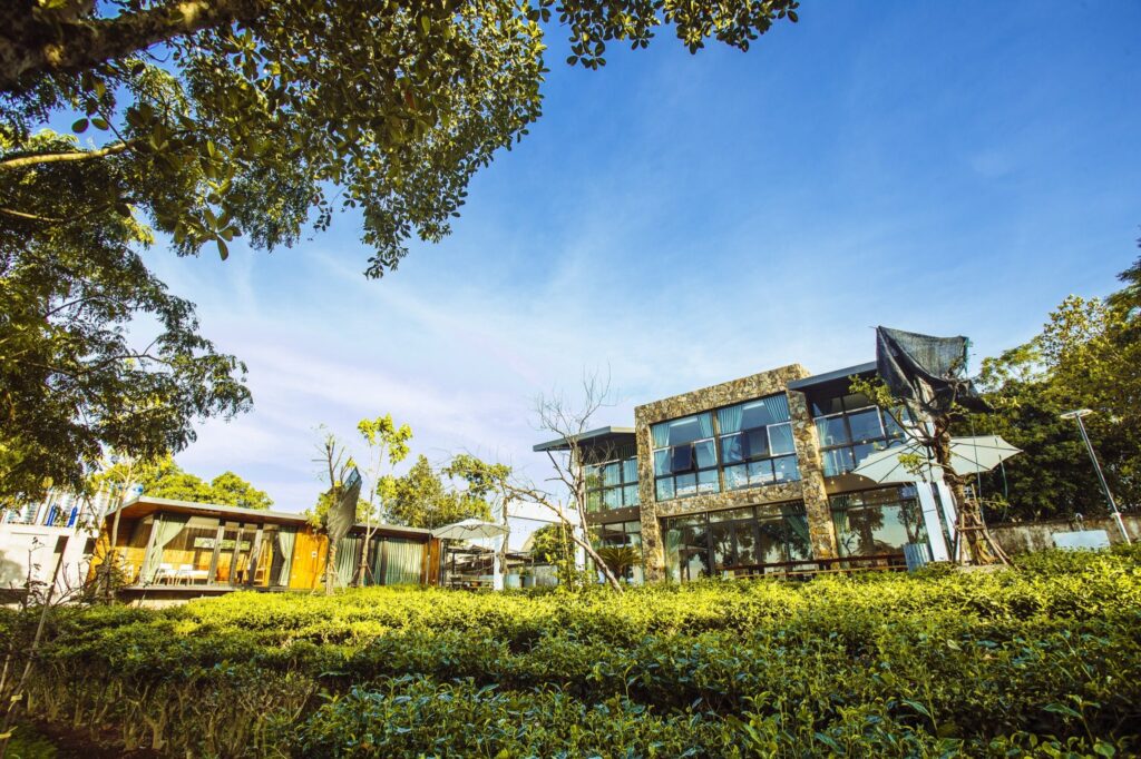 kamelia-villa-ba-vi-3