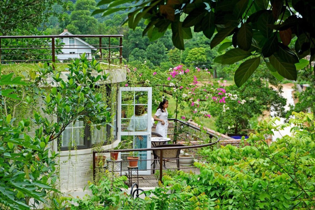 olesa-to-hop-cac-can-nha-ben-rung-12