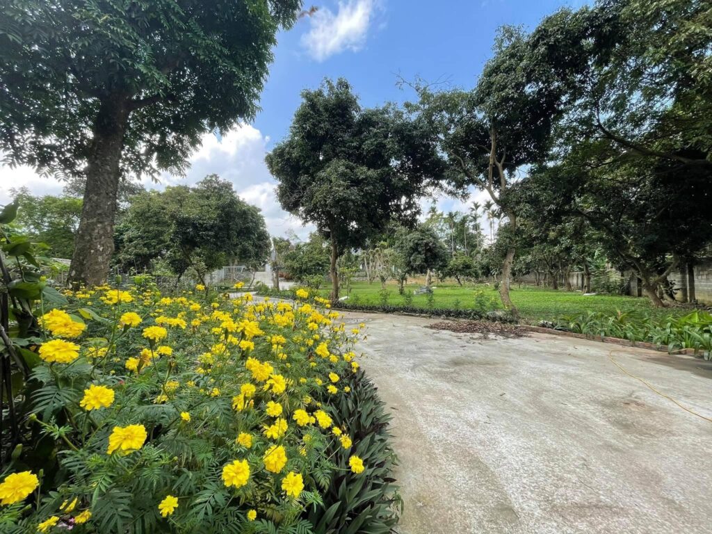 pobu-house-villa-ho-dong-chanh-4-phong-ngu-hoa-binh-be-boi-rieng-karaoke-2