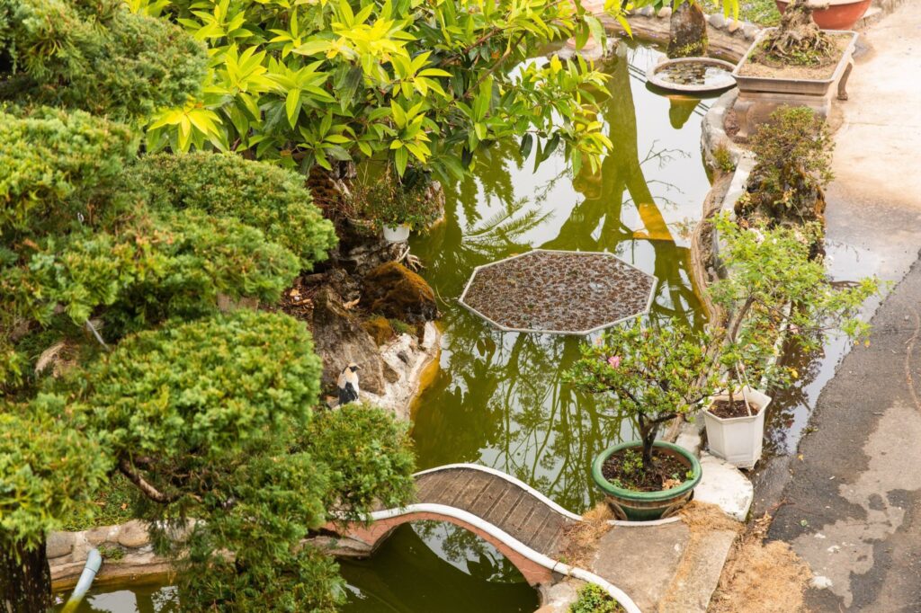 tung-villa-7-phong-ngu-da-lat-2