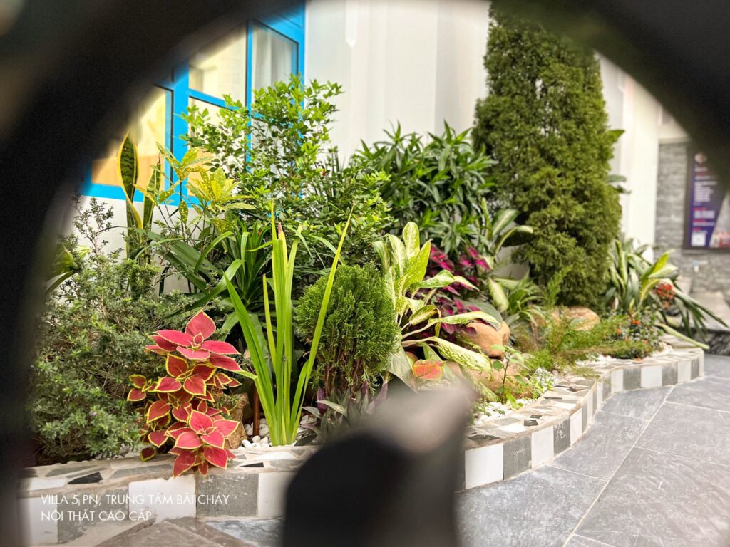 villa-ha-long-5-phong-ngu-cho-thue-biet-thu-nghi-duong10