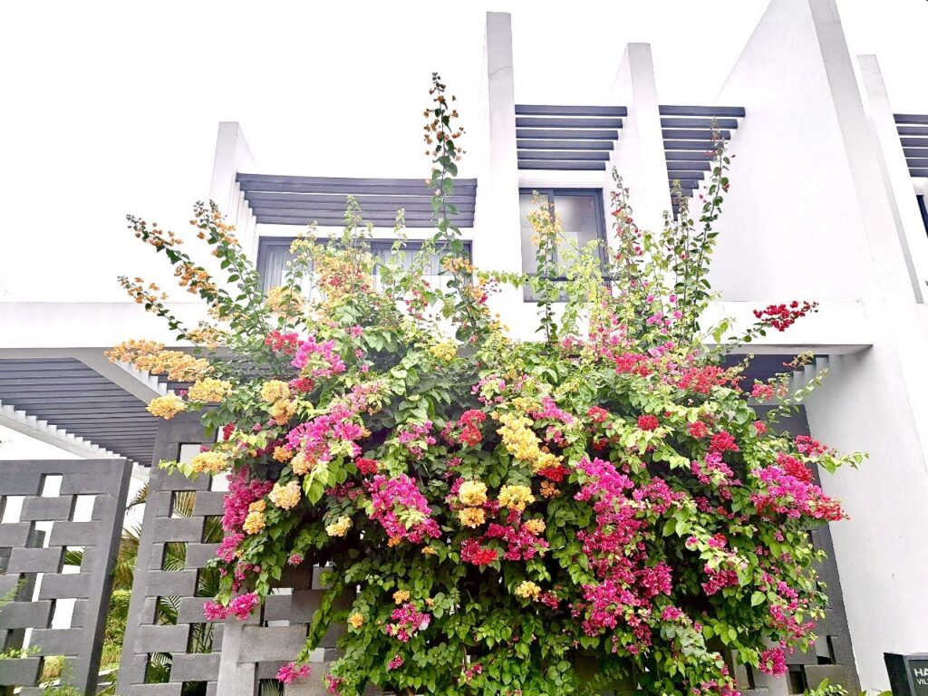 villa-oceanami-ho-tram-3-phong-ngu-gan-bien-long-hai1